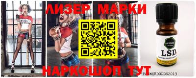 a pvp Новозыбков