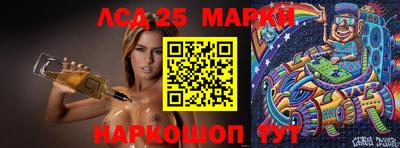spice Новодвинск