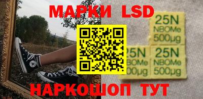 a pvp Новозыбков