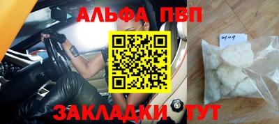a pvp Новозыбков