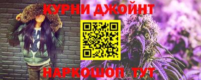 a pvp Новозыбков