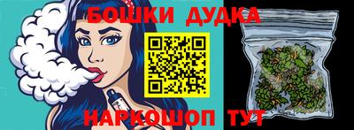 spice Новодвинск