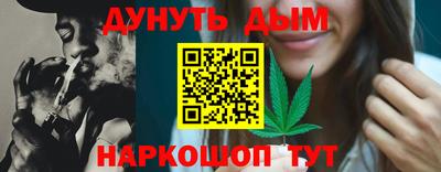 a pvp Новозыбков