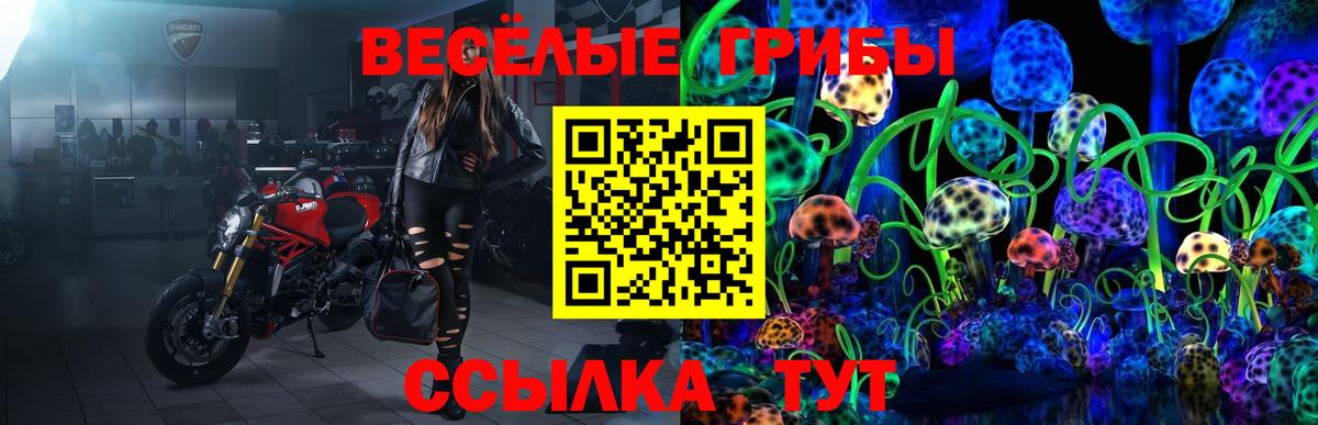 Самара  закладка  Вход с VPN  Псилоцибиновые грибы мухоморы 